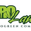 ProLawn Turf