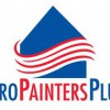 Pro Painters Plus