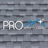 Pro Roof Cleaning