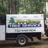 Pro Stump Tree Service