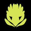 Protea Dekor