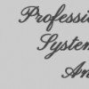 Professional System Analysis