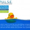 Pulse Plumbing & Heating Services