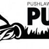 Push Lawn Care
