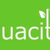 Quacito