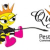 Queen Bee Pest Control