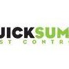 QuickSumo Pest Control