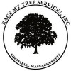 Race Mountain Tree Services