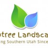 Raintree Landscape Services