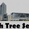 Raleigh Tree Service