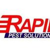 Rapid Pest Solutions