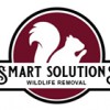 Smart Solutions Wildlife Removal