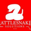 Rattlesnake Solutions