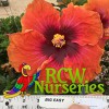 RCW Nurseries