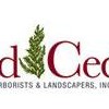 Red Cedar Arborists & Landscapers