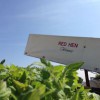 Red Hen Turf Farm