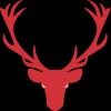 Red Stag Contracting