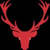 Red Stag Contracting