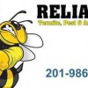 Reliable Termite Pest & Animal Control