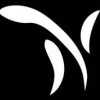 Renew Concepts
