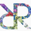 Revibe Designs