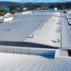 Reyes Single Ply Roofing Mstrs