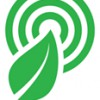 Rainforest Connection
