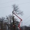 Rg Tree Service