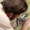 Richardson Plumbing