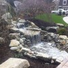 Rich Landscaping
