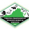 Richmond Virginia Animal Removal & Control