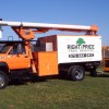 Right Price Tree Services