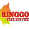 Ringgold Tree Service