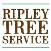 Ripley Enterprises Tree Service