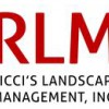 Ricci's Landscape Management