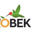 Robeks Regional Director
