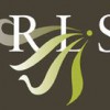 Robert Lange Studios