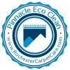 Pinnacle Eco Clean