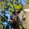 Rochester Tree Service