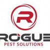 Rogue Pest Solutions