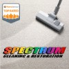 Spectrum Cleaning & Restoration