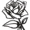 Rose Storage