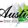 Round Rock Tree Surgeons