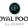 Royal Pools Santa Clara
