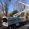 R&S TREE Service