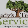 Rudy's Tree Service