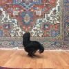 Savoy Antiques & Oriental Rugs