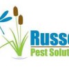 Russell Pest Solutions