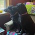 Sandy Walter Jezylo Erickson