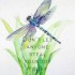 La Shanna Ward Johnson